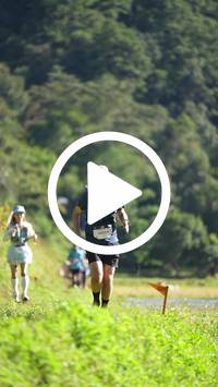 BIB:  <button type="button" onclick="openModal(26578713)" class="btn btn-primary btn-sm float-right" data-toggle="modal" data-target=".modal-high-quality">
                <i class="fa fa-download"></i> Download
                </button>